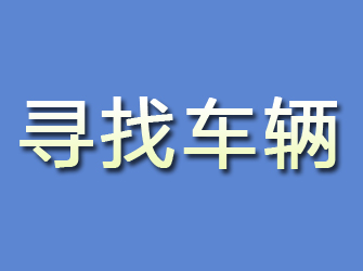 东海岛寻找车辆